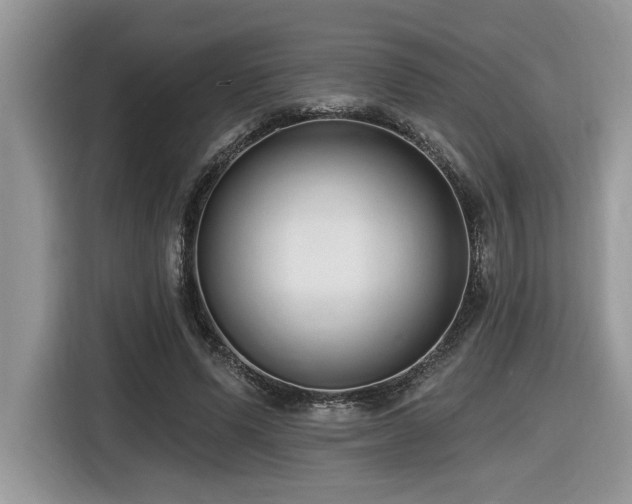 X0000116430591200912081526