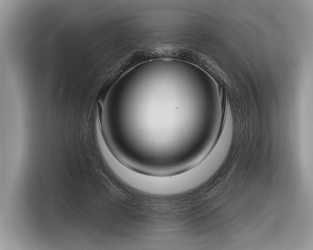 X0000116430593200912081526