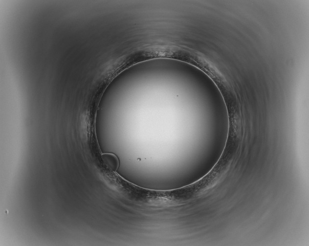 X0000116430594200912081526