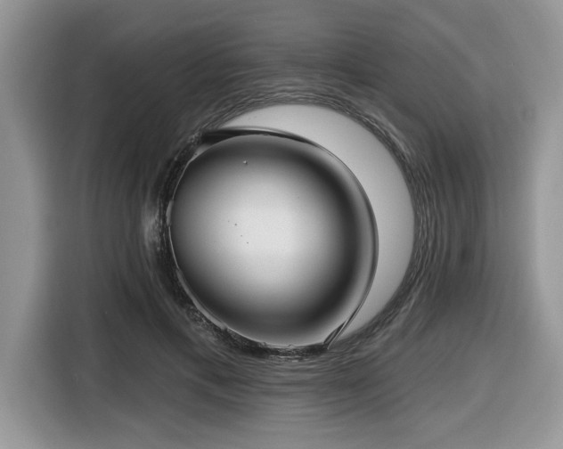X0000116430597200912081526