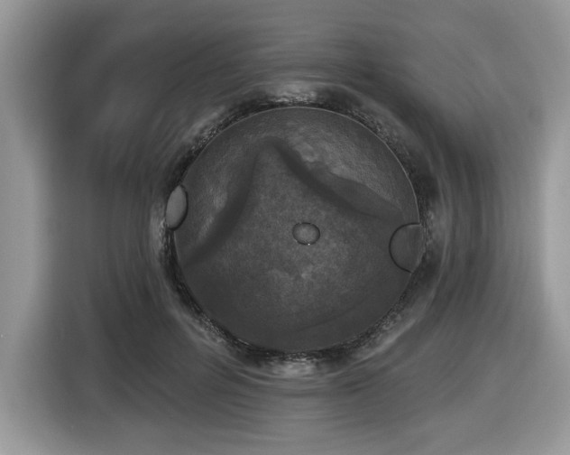 X0000116430600200912081526