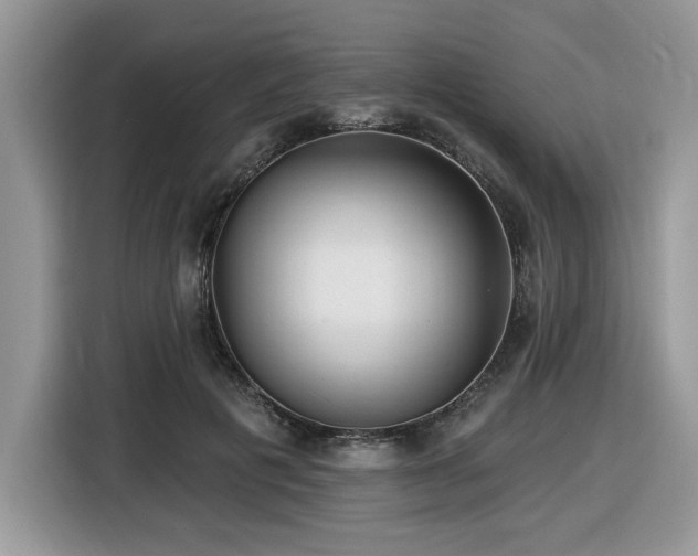 X0000116430601200912081526