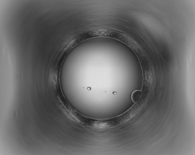 X0000116430602200912081526