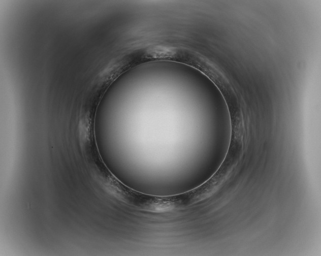 X0000116430604200912081526