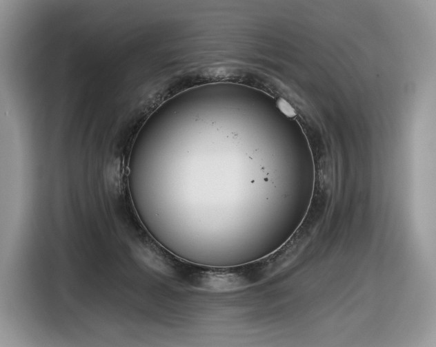 X0000116430605200912081526