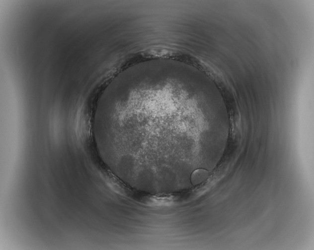 X0000116430606200912081526