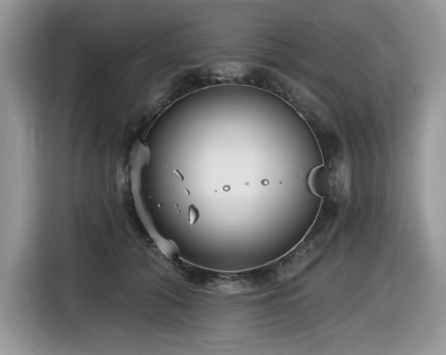 X0000116430608200912081525