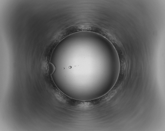 X0000116430609200912081525