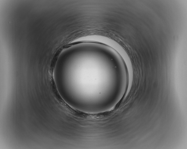 X0000116430613200912081525