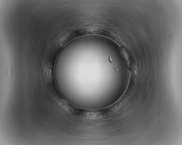 X0000116430615200912081525