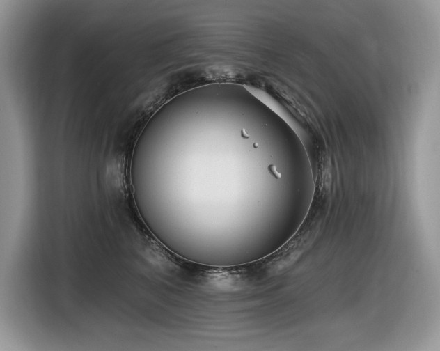 X0000116430616200912081525