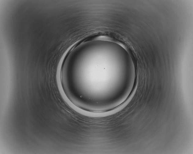 X0000116430617200912081525