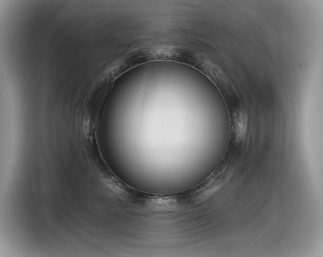X0000116430619200912081525