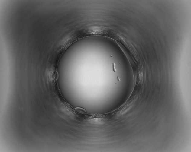X0000116430620200912081525