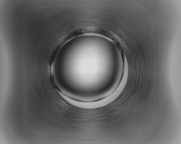 X0000116430621200912081525