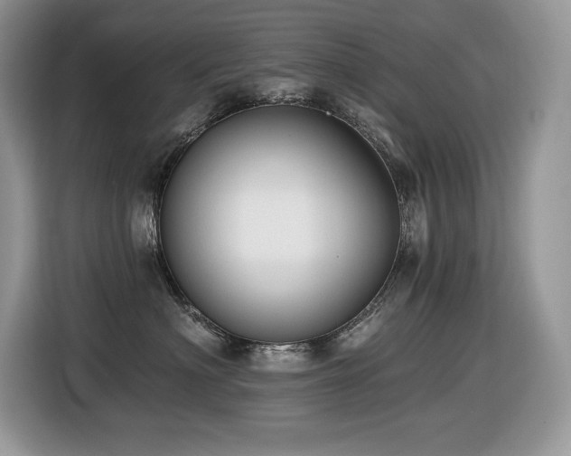 X0000116430622200912081525