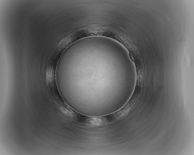 X0000116430623200912081525