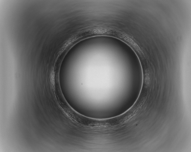 X0000116430626200912081525
