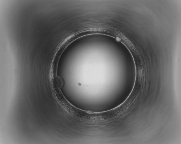 X0000116430628200912081525