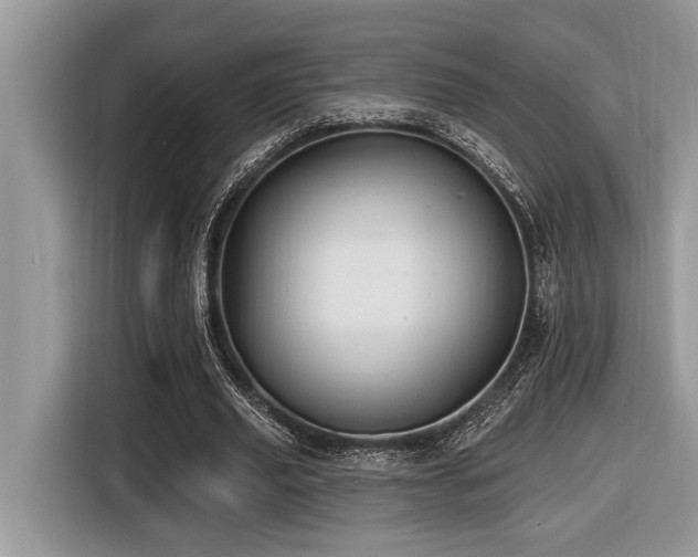 X0000116430629200912081525