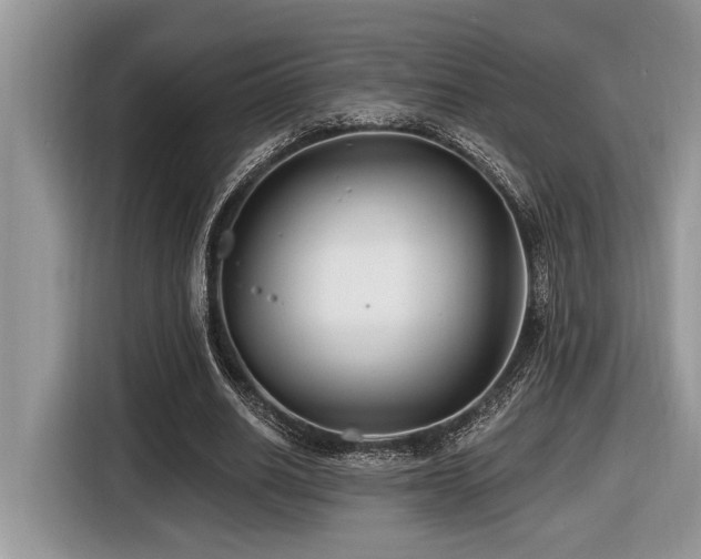 X0000116430630200912081525