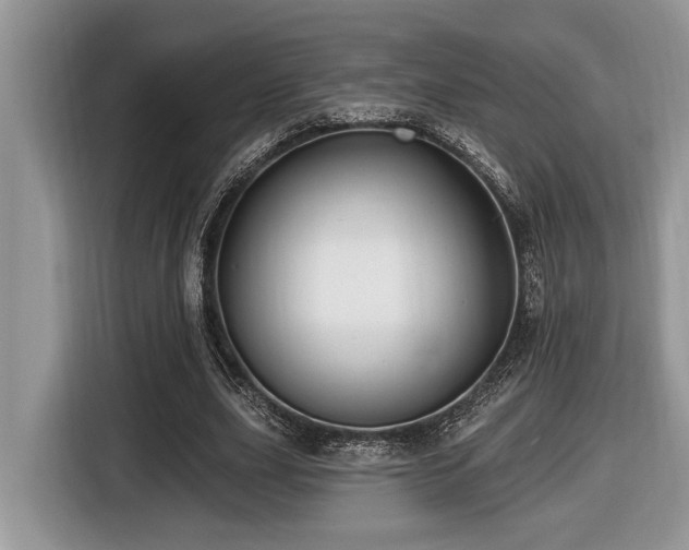 X0000116430631200912081525