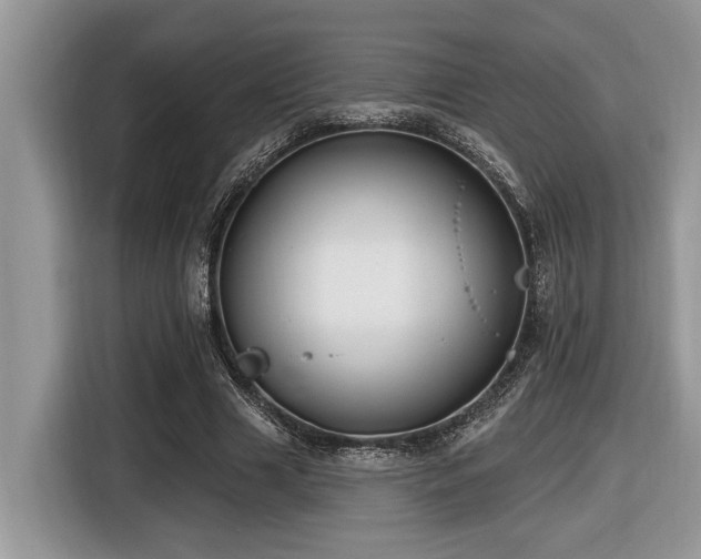 X0000116430633200912081525