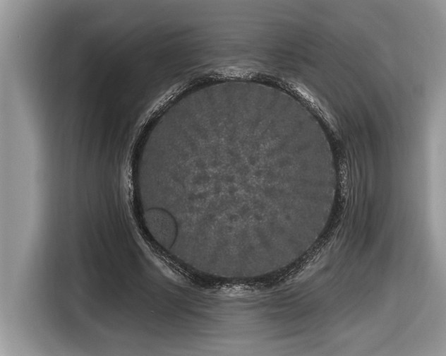 X0000116430634200912081525