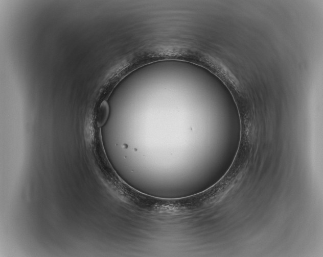 X0000116430635200912081525
