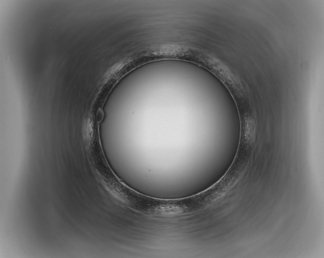 X0000116430636200912081525