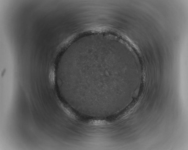 X0000116430637200912081525