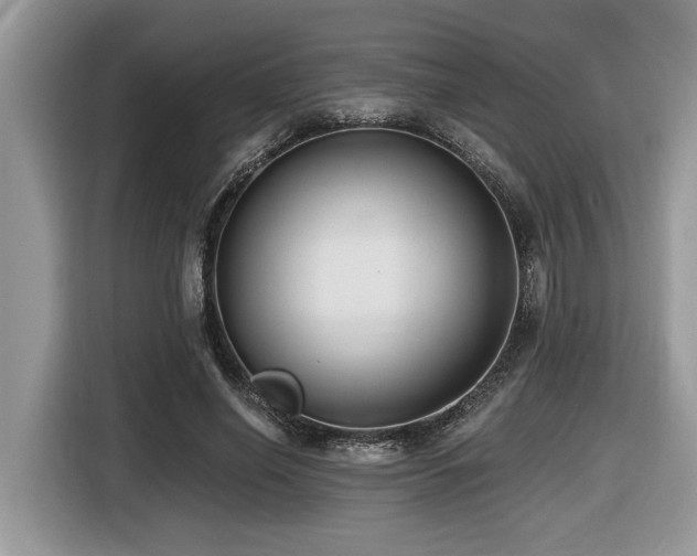 X0000116430638200912081525