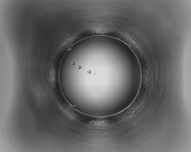 X0000116430639200912081525