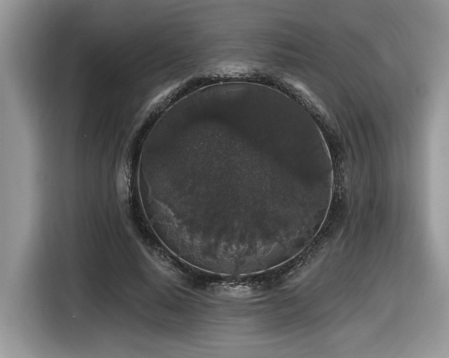 X0000116430640200912081525