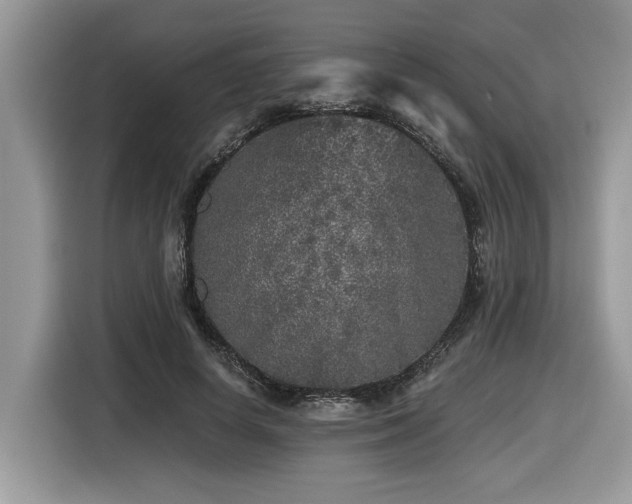 X0000116430642200912081525