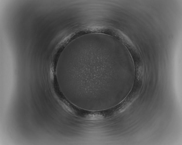 X0000116430644200912081525