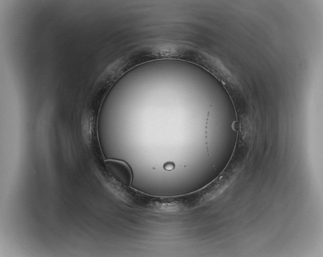 X0000116430645200912081525