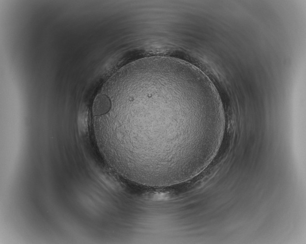 X0000116430647200912081525
