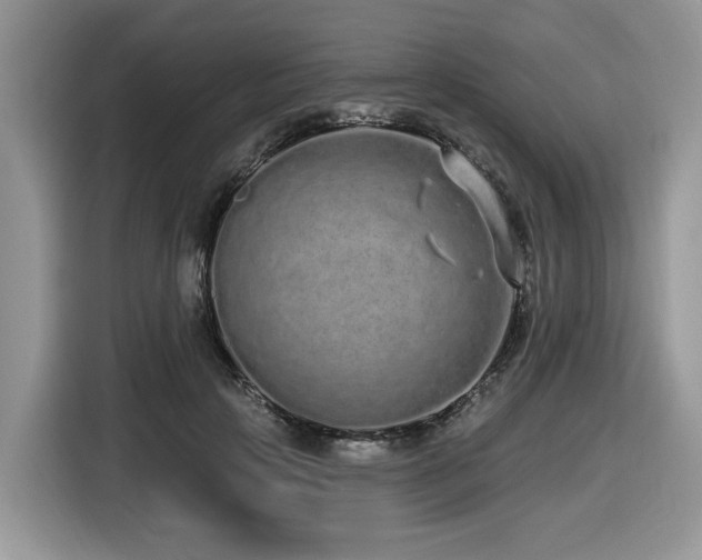 X0000116430649200912081525