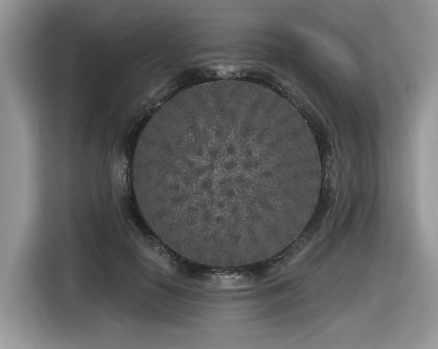 X0000116430650200912081525