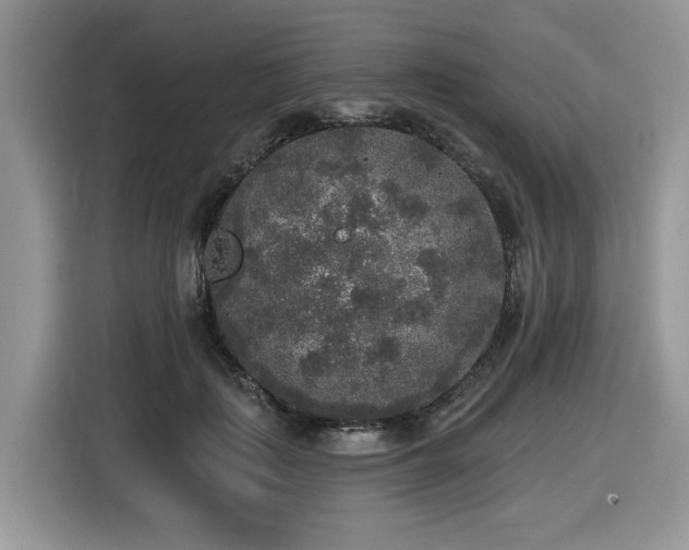 X0000116430651200912081525