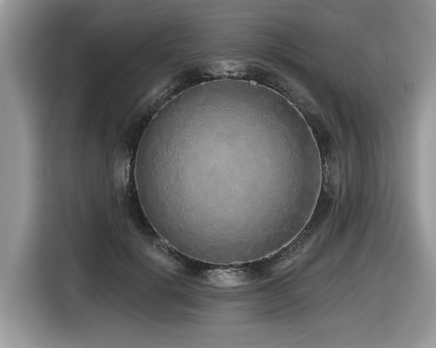 X0000116430652200912081525