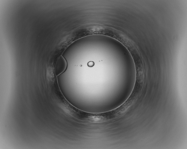 X0000116430654200912081525