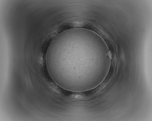 X0000116430655200912081525
