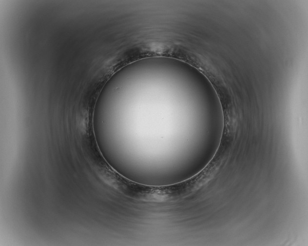 X0000116430656200912081525