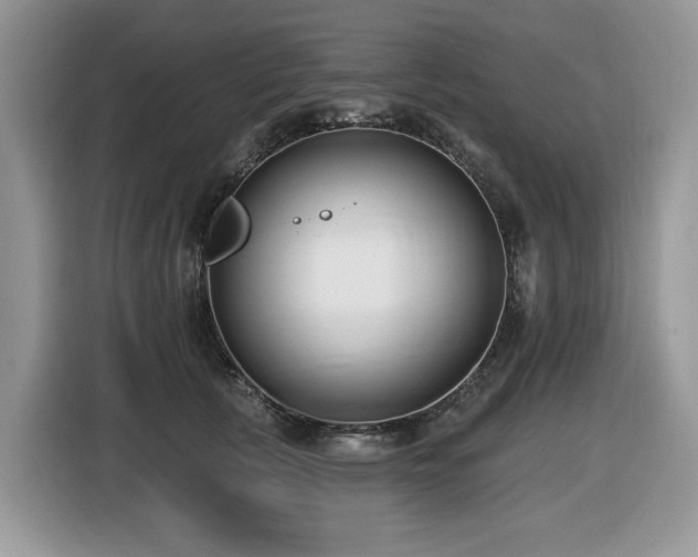 X0000116430657200912081525