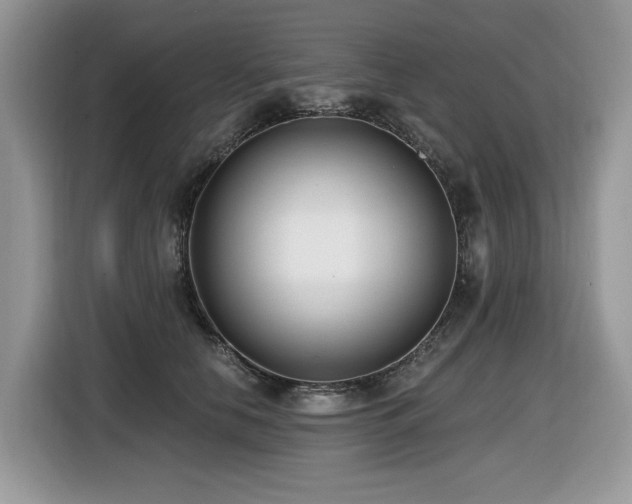 X0000116430658200912081525