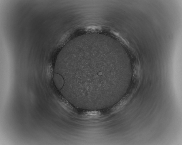 X0000116430659200912081525