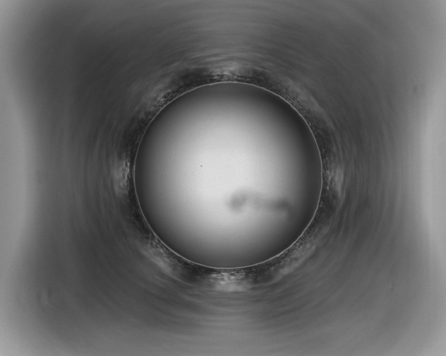 X0000116430660200912081525