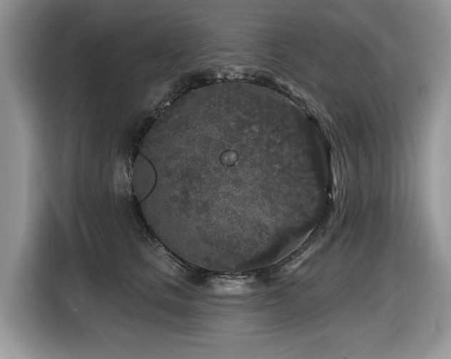 X0000116430661200912081525